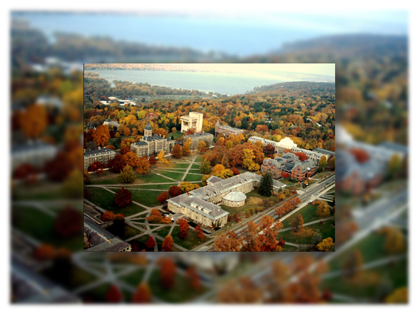 Đại học Cornell đã có hơn 4000 khóa học với 70 chuyên ngành đại học, 93 lĩnh vực về nghiên cứu