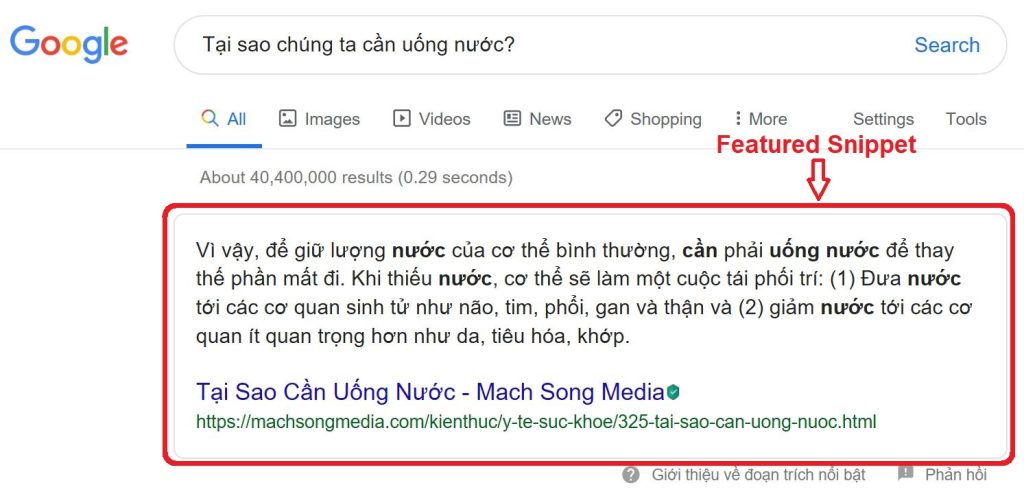Loại hình Featured Snippets